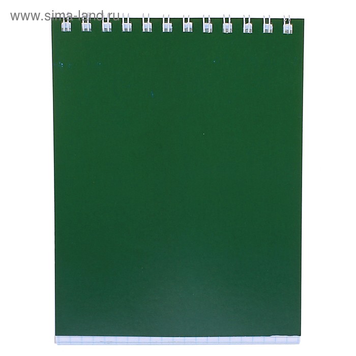 Блокнот А6, 40 листов на гребне «Корпоративный», ВД-лак, зелёный - Фото 1