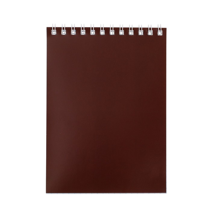 Блокнот А6, 40 листов на гребне "Корпоративный" коричневый, ВД-лак - Фото 1