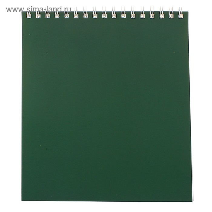 Блокнот А5, 40 листов на гребне "Корпоративный" зелёный, ВД-лак - Фото 1