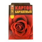 Картон цветной бархатный А4, 5 листов, 5 цветов "Роза", сплошной УФ-лак - Фото 1