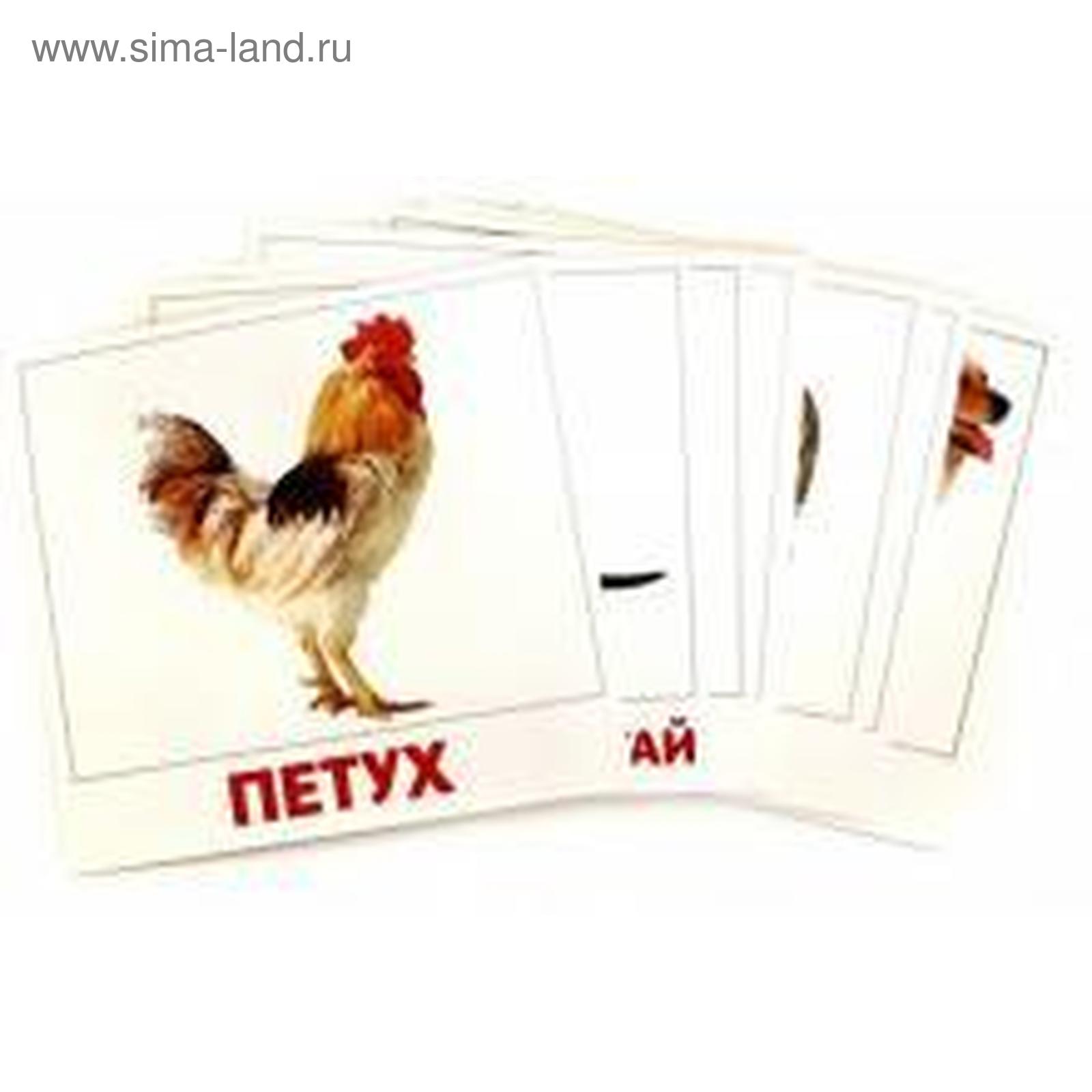 Обучающая книжка по методике Г. Домана "Животные Африки", 20 стр. (3015926) - Ку