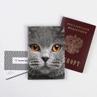 Обложка для паспорта "Кот" (1 шт) - фото 9121419