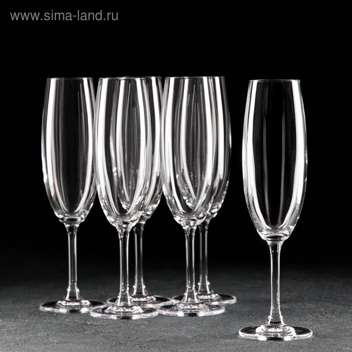 Набор бокалов для шампанского Sylvia, 220 мл, 6 шт - Фото 1
