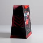 Пакет подарочный ламинированный квадратный, упаковка, «Champion», 22 х 22 х 11 см - фото 21165740