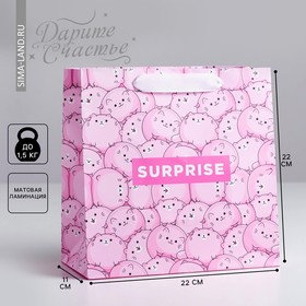 Пакет ламинированный квадратный Surprise, 22 × 22 × 11 см