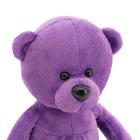 Мягкая игрушка «Медвежонок Сюрприз», 15 см, цвет МИКС - Фото 12
