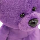 Мягкая игрушка «Медвежонок Сюрприз», 15 см, цвет МИКС - Фото 13