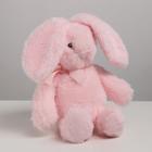 Мягкая игрушка «Зайка», 24 см, цвет розовый - фото 25415403