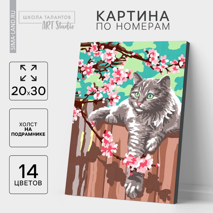 Картина по номерам на холсте с подрамником «Кот и цветы», 30х20 см - Фото 1