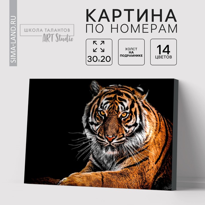 Картина по номерам на холсте с подрамником «Тигр», 30х20 см - Фото 1