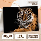 Картина по номерам на холсте с подрамником «Тигр», 30х20 см - фото 7763904