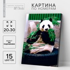 Картина по номерам на холсте с подрамником «Панда», 30х20 см - Фото 1