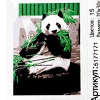 Картина по номерам на холсте с подрамником «Панда», 30х20 см - Фото 6