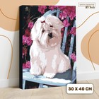 Картина по номерам на холсте с подрамником «Собака на стуле», 40х30 см - Фото 1