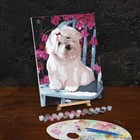 Картина по номерам на холсте с подрамником «Собака на стуле», 40х30 см - Фото 2