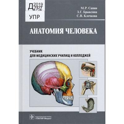 e-Anatomy — анатомия и медицинская визуализация