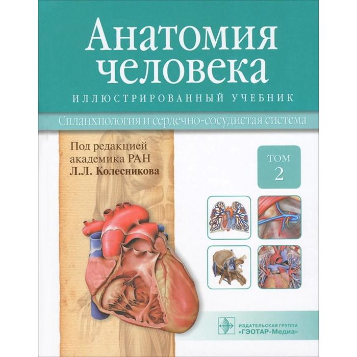 Анатомия человека. Том №2 Спланхнология и сердечно-сосудистая система. Учебник в 3 томах Колесников Л, Г