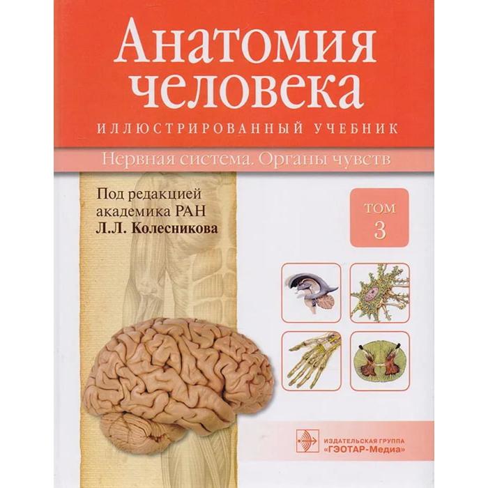 Анатомия человека. Т. 3-Нервная система. Органы чувств. Учебник в 3 томах. Колесников Л