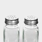 Набор для специй Доляна «Стандарт», 2 предмета: солонка, перечница 100 мл, стекло - Фото 4