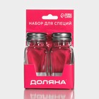 Набор для специй Доляна «Стандарт», 2 предмета: солонка, перечница 100 мл, стекло - Фото 7