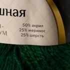 Пряжа "Воздушная" 25%меринос. шерсть, 25%шерсть, 50%акрил 370м/100гр (110 зеленый) - Фото 4