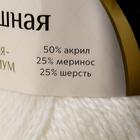 Пряжа "Воздушная" 25%меринос. шерсть, 25%шерсть, 50%акрил 370м/100гр (205 белый) - фото 9366392