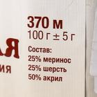 Пряжа "Воздушная" 25%меринос. шерсть, 25%шерсть, 50%акрил 370м/100гр (268 шок темн. 268) - Фото 4