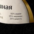 Пряжа "Воздушная" 25%меринос. шерсть, 25%шерсть, 50%акрил 370м/100гр (003 черный) - фото 8667172