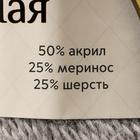 Пряжа "Воздушная" 25%меринос. шерсть, 25%шерсть, 50%акрил 370м/100гр (168 сер. св) - Фото 4