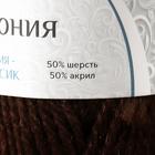 Пряжа "Гармония" 50% шерсть, 50% акрил 245м/100гр (063 шоколад) - фото 22456135