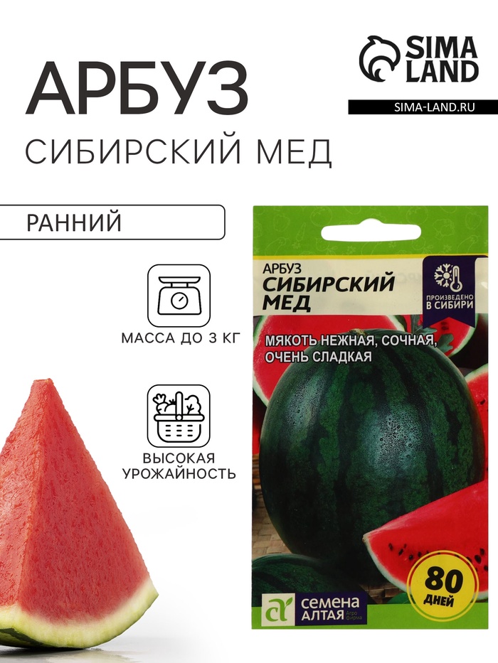 Семена Арбуз «Сибирский Мед», 1 г, «Семена Алтая» - Фото 1