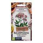 Семена Валериана «Кардиола», лекарственная, 0.1 г, «Семена Алтая. Аптекарский огород» - Фото 1