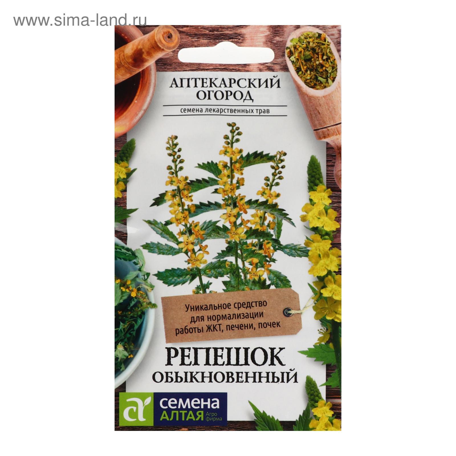 Репешок семена фото Репешок семена фото
