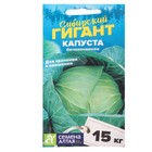 Семена Капусты белокочанной "Сибирский Гигант", 0,5 г - фото 320425767