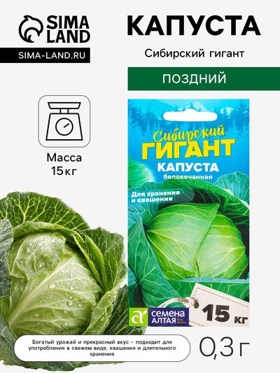 Семена Капуста белокочанная «Сибирский Гигант», 0.3 г, «Семена Алтая»
