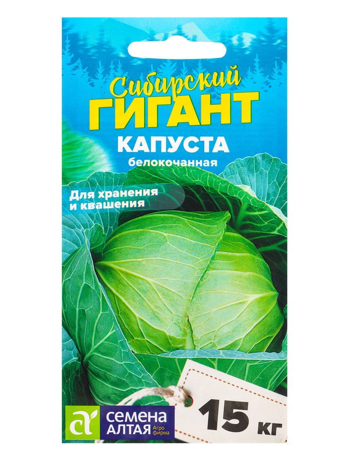 Семена Капуста белокочанная «Сибирский Гигант», 0.3 г, «Семена Алтая» - Фото 1