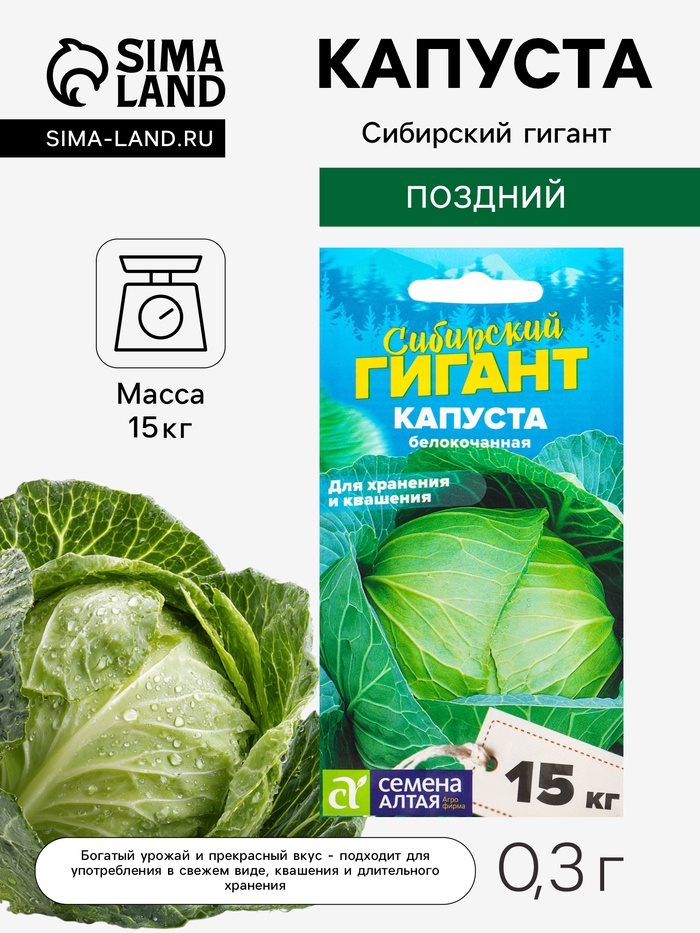 Семена Капуста белокочанная «Сибирский Гигант», 0.3 г, «Семена Алтая» - Фото 1