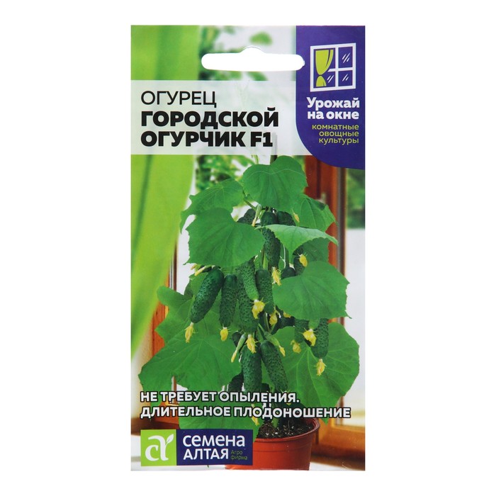 

Семена огурца "Городской Огурчик", F1, 5 шт.