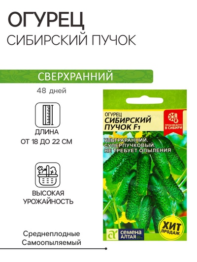 Семена Огурец «Сибирский Пучок», F1, 5 шт., «Семена Алтая»