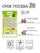 Семена Огурец «Сибирский Пучок», F1, 5 шт., «Семена Алтая» - Фото 2