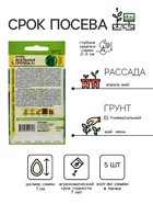 Семена Огурец "Ясельная Группа", F1, 5 шт - Фото 2