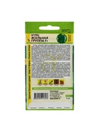 Семена Огурец "Ясельная Группа", F1, 5 шт - Фото 6