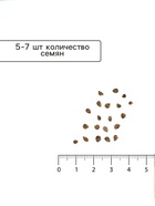 Семена Томат «Ожерелье желтое», 0.05 г, «Семена Алтая» - Фото 4