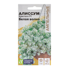 Семена цветов  Алиссум Кристалл "Белая Волна", F1, ампельный, 0,01 г - фото 2605723
