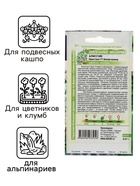 Семена цветов Алиссум Кристалл "Белая Волна", ц/п, F1, ампельный, 0,01 г - Фото 3
