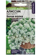 Семена цветов Алиссум Кристалл "Белая Волна", ц/п, F1, ампельный, 0,01 г - Фото 5