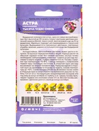 Семена цветов Астра «Тысяча чудес», карликовая, смесь, 0.15 г, «Семена Алтая» - Фото 2