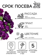 Семена цветов Петуния Дот Стар F1 «Андромеда», многоцветковая, 5 шт. - Фото 2