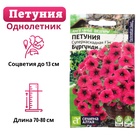 Семена цветов Петуния Суперкаскадная "Бургунди", ц/п, F1, 7 шт - Фото 5
