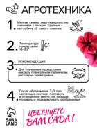 Семена цветов Петуния Суперкаскадная «Бургунди», F1, 7 шт., «Семена Алтая» - Фото 4